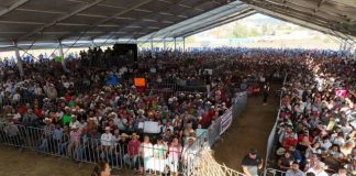 Claudia Sheinbaum da banderazo a «Cosechando Soberanía» en Zinapécuaro para impulsar la producción en México