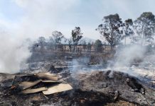 Reportó Michoacán más de 200 incendios forestales de enero a marzo 2025