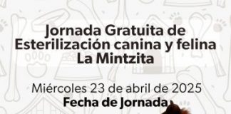 Esterilizar para no abandonar: Hermano Animal lanza jornada gratuita en La Mintzita