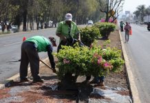 Gobierno de Morelia sigue embelleciendo las áreas verdes de la ciudad