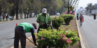 Gobierno de Morelia sigue embelleciendo las áreas verdes de la ciudad