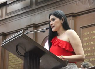 Presenta diputada Diana Espinosa iniciativa para reformar Ley de Turismo en materia de protección a niñas, niños y adolescentes