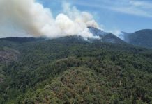 Continúan acciones para apagar incendio en reserva de la Monarca
