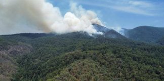 Continúan acciones para apagar incendio en reserva de la Monarca