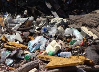 Ooapas retira importante taponamiento en el Río Grande
