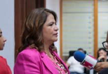 Ley contra la apología del delito no violará derecho a la libertad de expresión: Fabiola Alanís