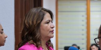 Ley contra la apología del delito no violará derecho a la libertad de expresión: Fabiola Alanís