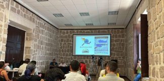 Revelan cifras de crímenes de odio contra comunidad LGBT; van 46 en Michoacán
