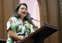 Modificar ley de Salud, para garantizar acceso a tratamientos a niños con cáncer :Eréndira Isauro