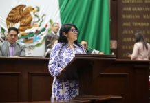 Propone Vanhe Caratachea tipificar secuestro virtual infantil a nivel federal
