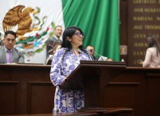 Propone Vanhe Caratachea tipificar secuestro virtual infantil a nivel federal