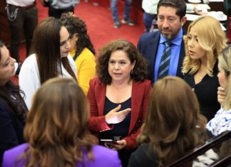 Desde el Congreso abonamos a la construcción de paz, sin retroceder en conquista de libertades: Melba Albavera