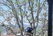 UN ÉXITO, 4TA FECHA DE LIGA NACIONAL DE BMX CELEBRADA EN MORELIA