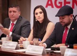 Voto libre de jueces y magistrados, derecho ciudadano que se debe respetar: Diana Espinoza