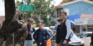 Gobierno de Morelia continúa construyendo espacios seguros con programa de Poda Sanitaria