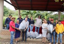 Vicente Gómez promueve siembra de tilapia en el Distrito XIX