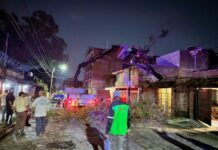 Retira Ayuntamiento de Morelia árboles caídos por lluvias