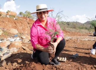 Gobierno de Quiroga plantó más de 500 árboles en el Día Mundial del Medio Ambiente