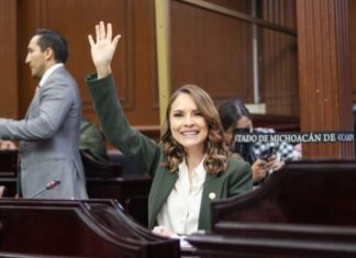 Entrada en vigor de Gobierno Digital, permitirá la modernización de la administración pública: Nalleli Pedraza