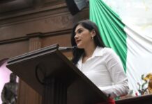 Presenta Diana Espinoza iniciativa para reformar la Ley para la Igualdad entre Mujeres y Hombres en Michoacán