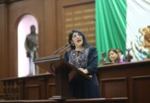 Propone Vanhe Caratachea reforma para extender pensión alimenticia hasta la obtención de título y cédula profesional