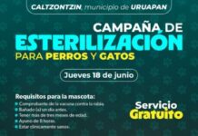 Jornadas de esterilización gratuitas para perros y gatos en Caltzontzin y Tomendán: SSM