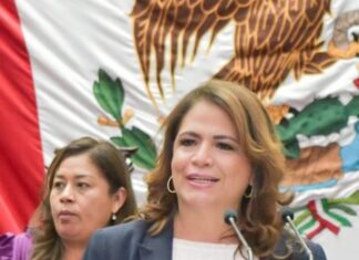 Atender a mujeres cuidadoras, propone iniciativa de Fabiola Alanís