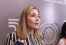 Solo hice ver la violencia que vivía: Brissa Arroyo, sobre anulación de renuncia al PRD