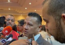 Alcaldesa de Tepalcatepec no había reportado amenazas: Torres Piña