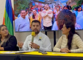 «PRDM exige estrategia federal de seguridad para Michoacán tras actos de terrorismo en Zitácuaro»