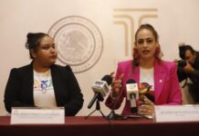 Presentará PVEM, paquete de iniciativas en pro del medio ambiente