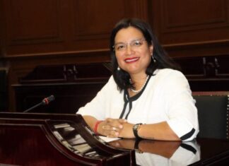 Proponen en Michoacán retiro automático de patria potestad a feminicidas: presentan iniciativa inspirada en la “Ley Monzón”