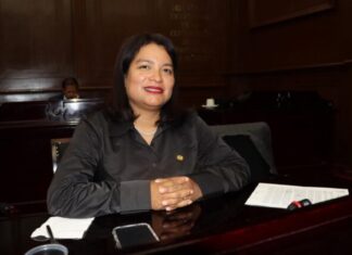 Eréndira Isauro impulsa reforma para limitar patria potestad por violencia vicaria en Michoacán