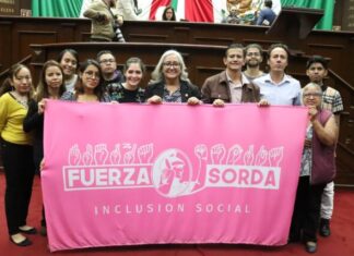 Tras aprobación de reforma propuesta, Emma Rivera celebra el reconocimiento constitucional de la Lengua de Señas