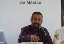 Michoacán, con graves problemas de deforestación por cultivo de aguacate: CONAFOR