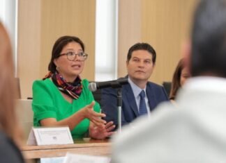 Alfonso Martínez, amigo de la causa migrante: Senadora por Illinois, Karina Villa