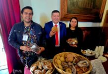 Impulsa Vicente Gómez a emprendedores locales desde el Congreso de Michoacán