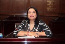 Diputada Eréndira Isauro propone incorporar perspectiva de infancia en la legislación estatal