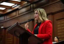 Diputada Brissa Arroyo plantea reconocer el tipo de violencia feminicida en la Ley