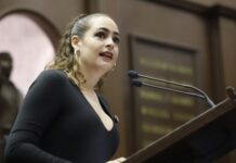 Presenta Sandra Arreola iniciativa para frenar daño ambiental por cultivo de aguacate
