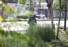 Brigadas del Gobierno de Morelia intervienen Libramiento Paseo de la República