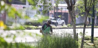 Brigadas del Gobierno de Morelia intervienen Libramiento Paseo de la República
