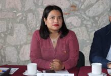 Garantizar transparencia, prioridad en proceso de designación de auditores especiales: Eréndira Isauro
