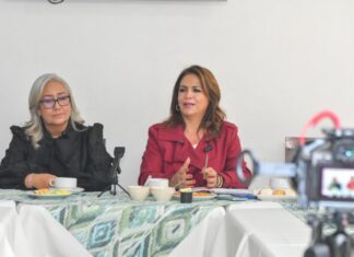 10 delitos concentran más de la mitad de las denuncias en Michoacán: Fabiola Alanís