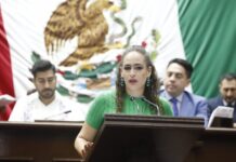 Propone Sandra Arreola cerrar el paso a la impunidad ambiental en Michoacán