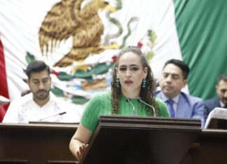Propone Sandra Arreola cerrar el paso a la impunidad ambiental en Michoacán