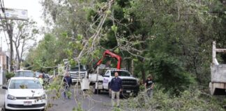 Brigadas de la Secretaría de Servicios Públicos intervienen el Río Chiquito