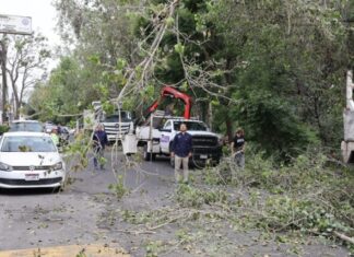 Brigadas de la Secretaría de Servicios Públicos intervienen el Río Chiquito