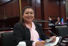 Propone Belinda Iturbide reformar la Ley de Protección Civil