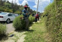 Embellecen accesos de Morelia con jornada de limpieza integral en la avenida Miguel Hidalgo